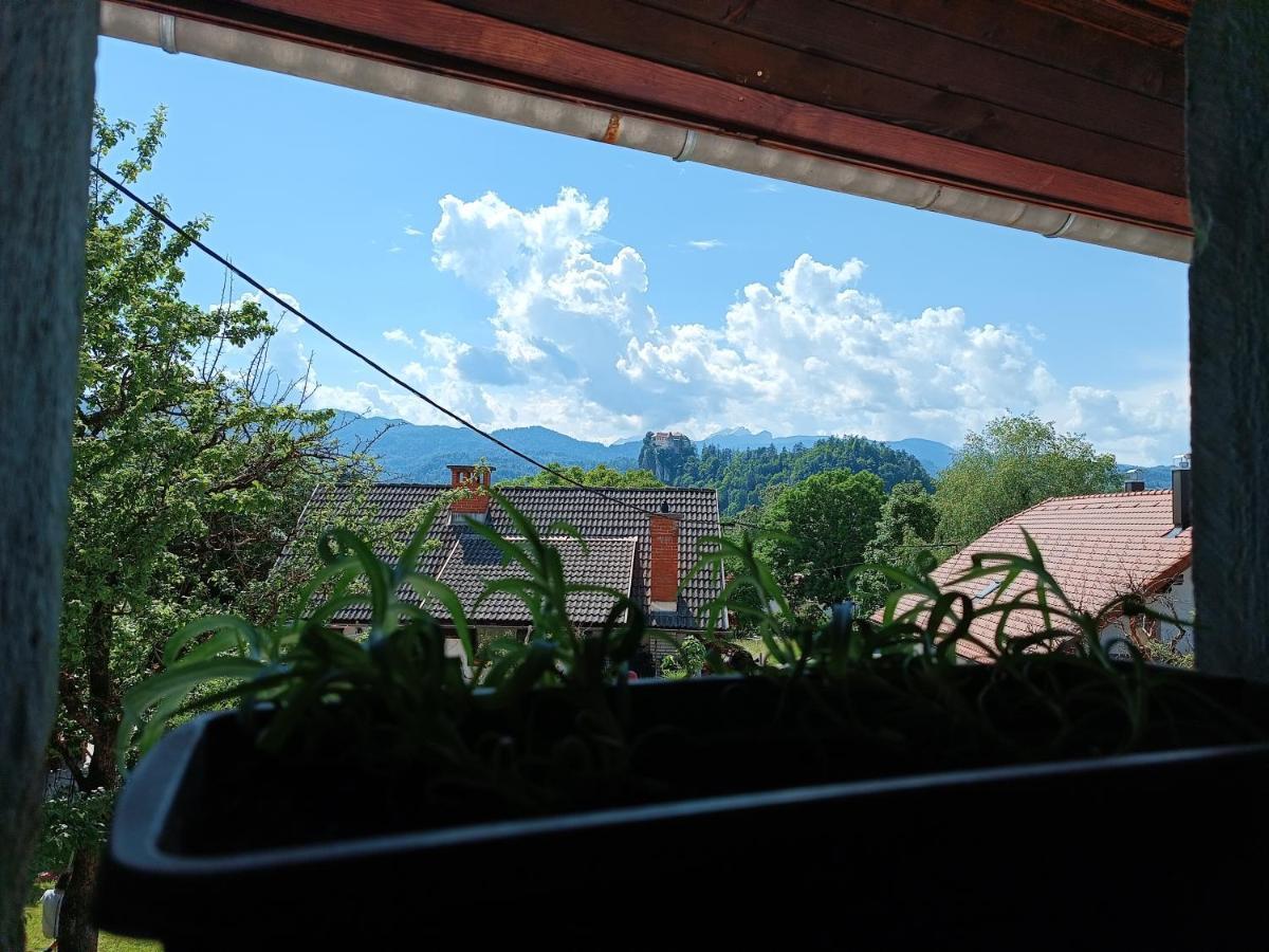 A Pousada Pr Mocnk Bled Exterior foto
